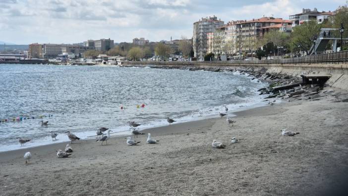 Marmara’da poyraz engeli: Balıkçılar limana çekildi