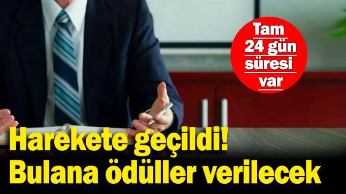 Kahverengi kokarca böceği için kampanya başlatıldı! Çeşitli ödüller verilecek