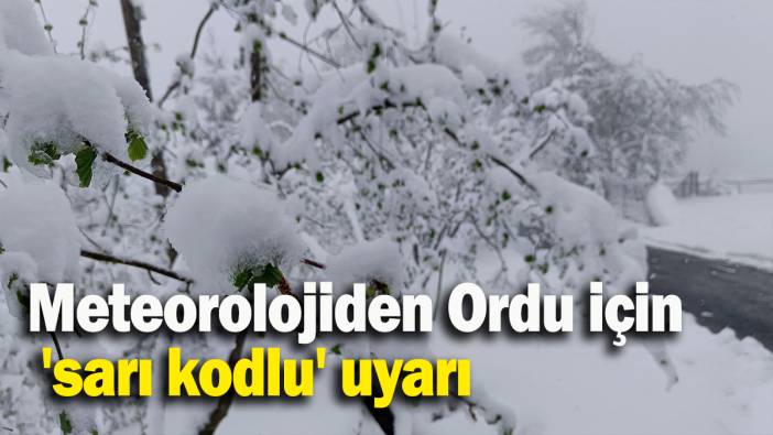 Meteorolojiden Ordu için 'sarı kodlu' uyarı