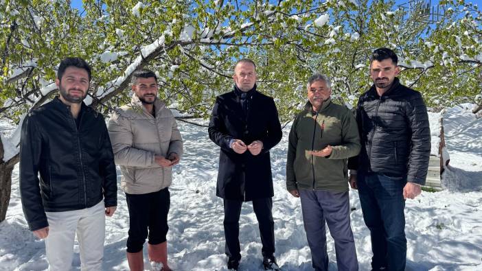 Malatya’da kayısı da don felaketi: Afet bölgesi ilanı çağrısında bulunuldu
