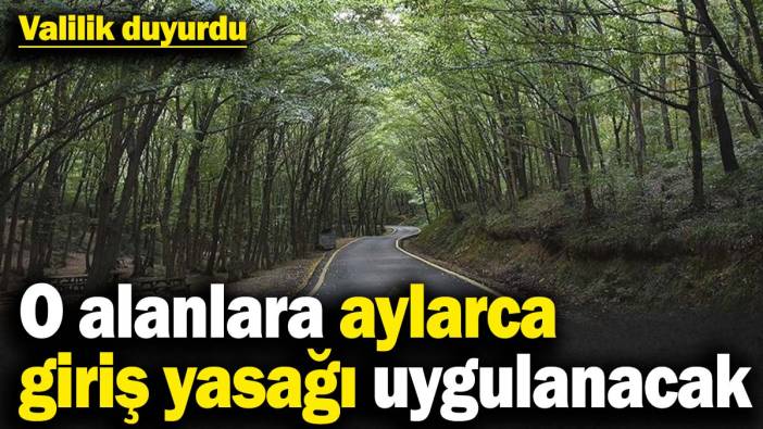 Valilik duyurdu! O alanlara aylarca giriş yasağı uygulanacak