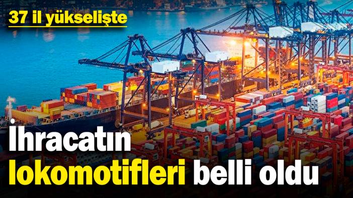 İhracatın lokomotifleri belli oldu! 37 il yükselişte