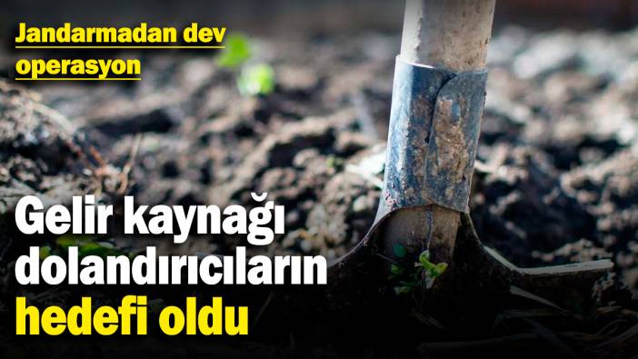Gelir kaynağı dolandırıcıların hedefi oldu! Jandarmadan dev salyangoz operasyonu