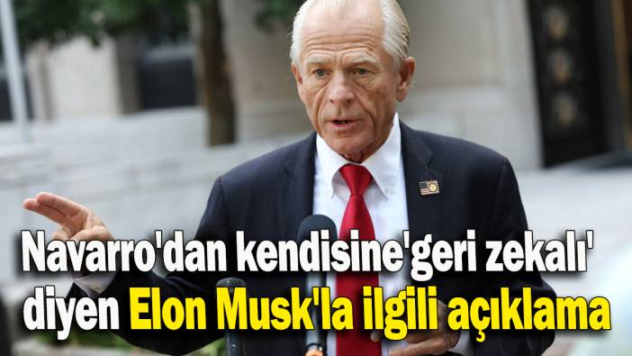 Navarro'dan kendisine 'geri zekalı' diyen Elon Musk'la ilgili açıklama