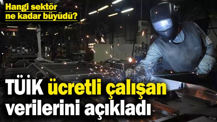 TÜİK ücretli çalışan verileri açıklandı! Hangi sektör ne kadar büyüdü?