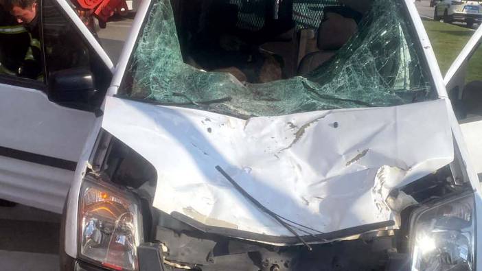 Gaziantep’te yola fırlayan at polis aracına girdi