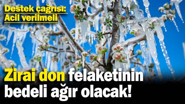 Zirai don felaketinin bedeli ağır olacak! Destek çağrısı: Acil verilmeli