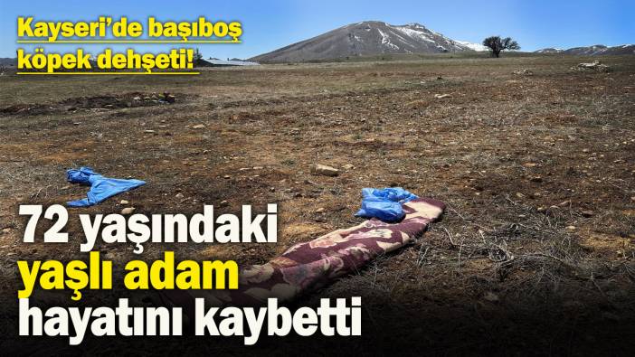 Kayseri’de başıboş köpek dehşeti! 72 yaşındaki yaşlı adam hayatını kaybetti