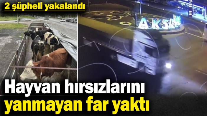 Hayvan hırsızlarını yanmayan far yaktı! 2 şüpheli yakalandı