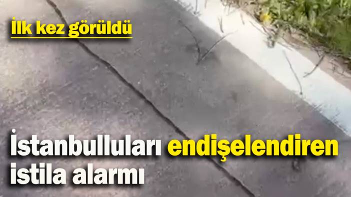 İstanbulluları endişelendiren istila alarmı