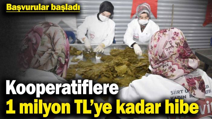 Siirt'te kooperatiflere 1 milyon TL’ye kadar hibe desteği: Başvurular başladı