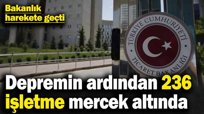 Bakanlık düğmeye bastı! Depremin ardından 236 işletme mercek altında