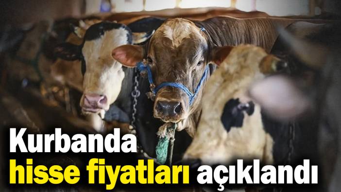 Kurbanda hisse fiyatları açıklandı