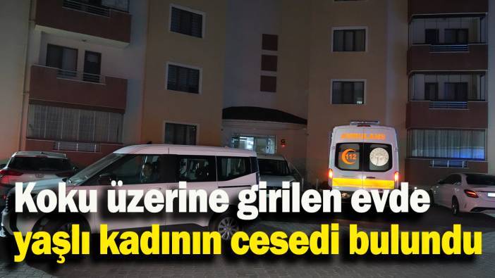 Koku üzerine girilen evde yaşlı kadının cesedi bulundu