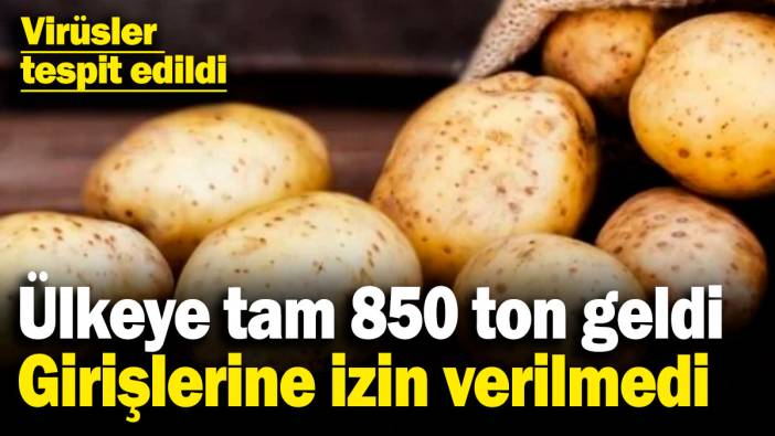 Ülkeye tam 850 ton geldi, girişlerine izin verilmedi! Virüsler tespit edildi