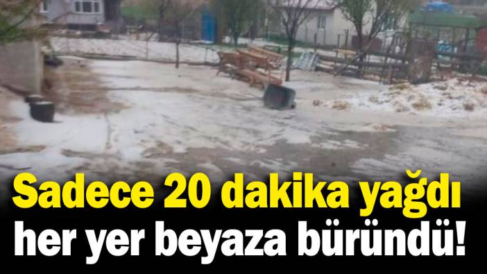 Seyitgazi'nde dolu yağışı: 20 dakikada her yer beyaza büründü
