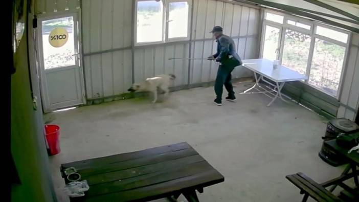 81 yaşındaki Fahrettin D., köpeğe bastonla saldırdı