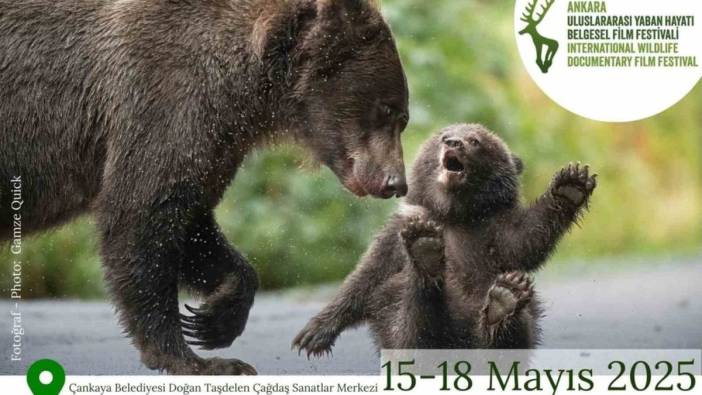 Ankara'da uluslararası yaban hayatı belgesel film festivali