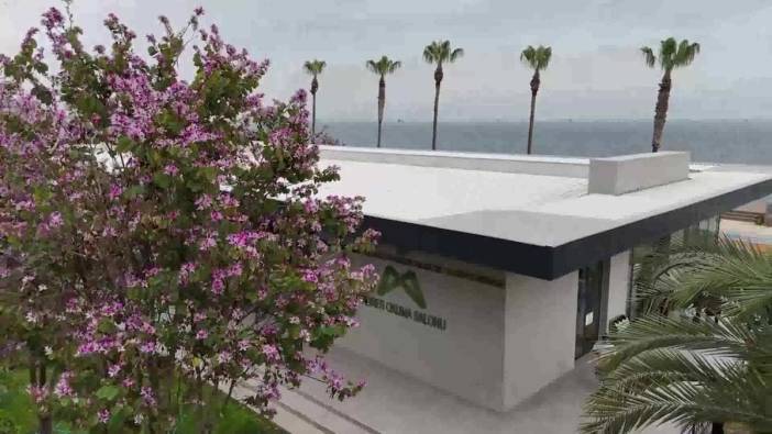 Mersin'de 11 ücretsiz okuma salonu öğrencilere kapılarını açtı