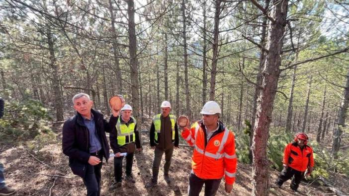 Emet'te ormancılık eğitimi