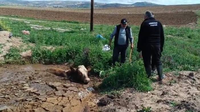 İtfaiye, çamura batan ineği kurtardı