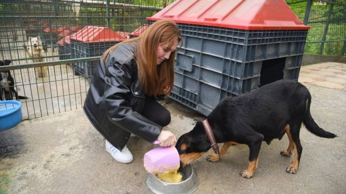 Giresun Üniversitesi öğrencileri, hayvan barınağına mama desteği sağladı