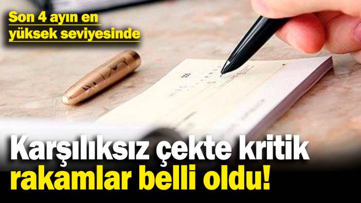 Karşılıksız çekte kritik rakamlar belli oldu! Son 4 ayın en yüksek seviyesinde