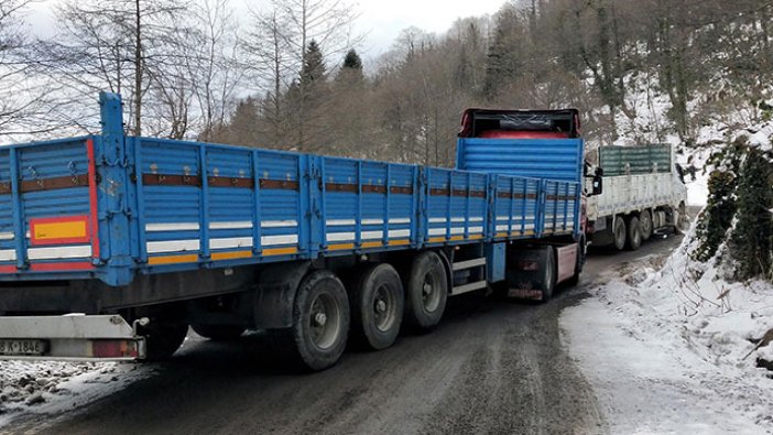 Ordu'da araçlar buz tutan yolda kaldı, gölet dondu