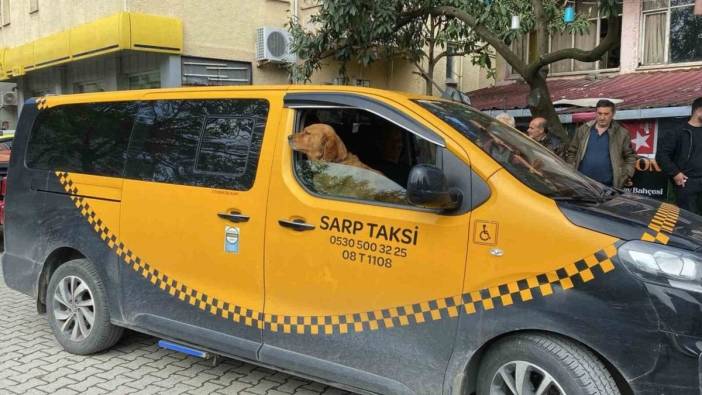 Artvin'de Tarçın'lı taksi yolcuların gözdesi oldu