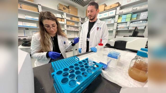 KTÜ'de akrep zehri araştırmaları başladı