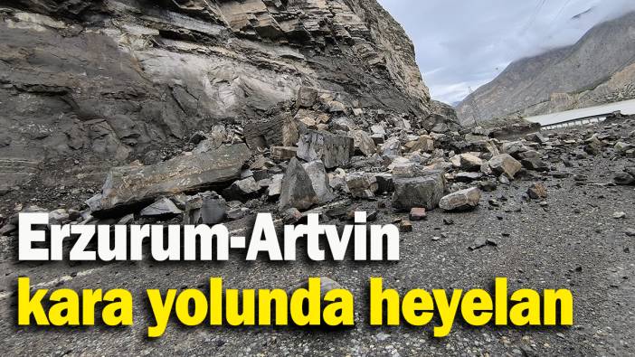 Erzurum-Artvin kara yolunda heyelan