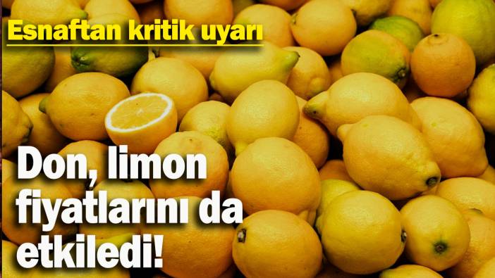 Pazar esnafı: "Limonun fiyatı daha da artar çünkü soğuk vurdu hepsini, don vurdu"