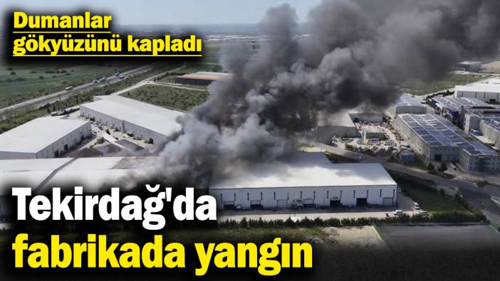 Tekirdağ'da fabrikada yangın! Dumanlar gökyüzünü kapladı