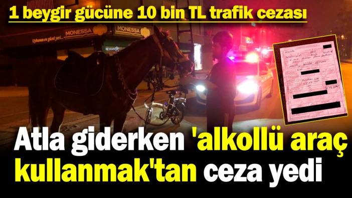 Atla giderken 'alkollü araç kullanmak'tan ceza yedi