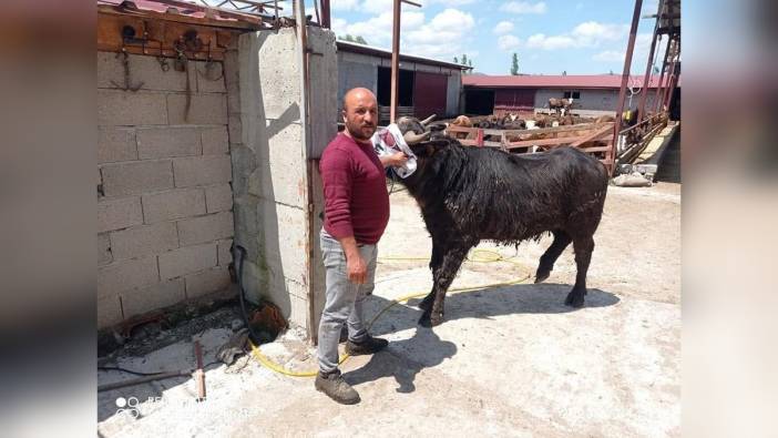 Arazı Kavgası Ölümle Sonuçlandı