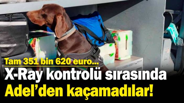 X-Ray kontrolü sırasında Adel'den kaçamadılar! Tam 351 bin 620 euro