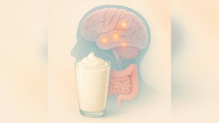 Kefir, Alzheimer'da Koruyucu Etki Gösterebilir mi?