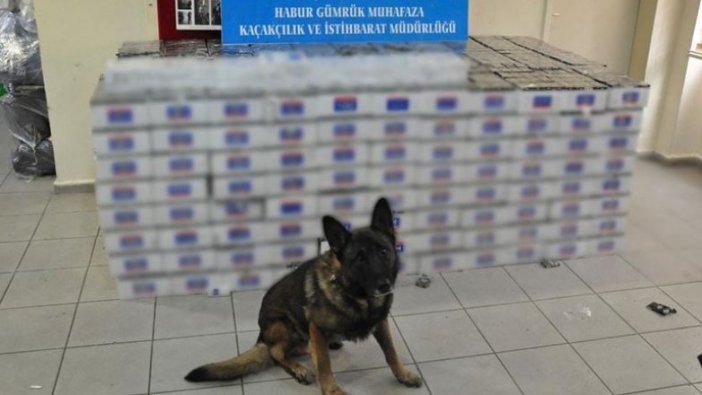 Sınır'da 74 bin paket kaçak sigara ele geçirildi
