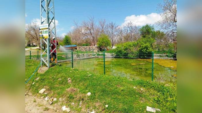Elazığ'da larva ilaçlama çalışmaları sürüyor