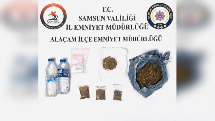 Samsun'da 2 şişe bonzai ele geçirildi