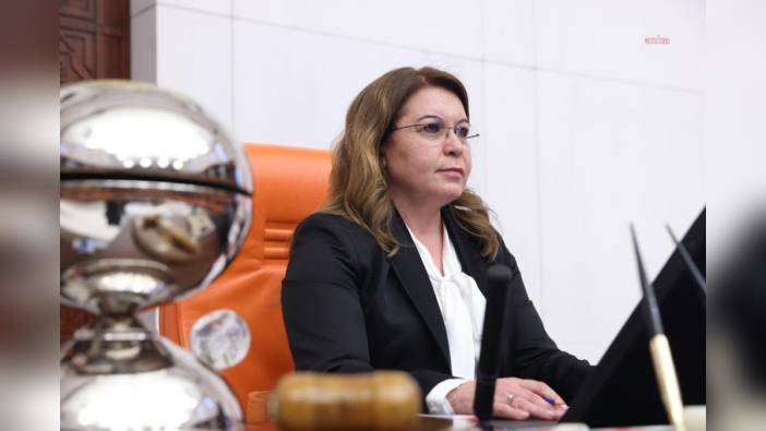 Biçer Karaca, Özel'e Saldırıyı Kınadı