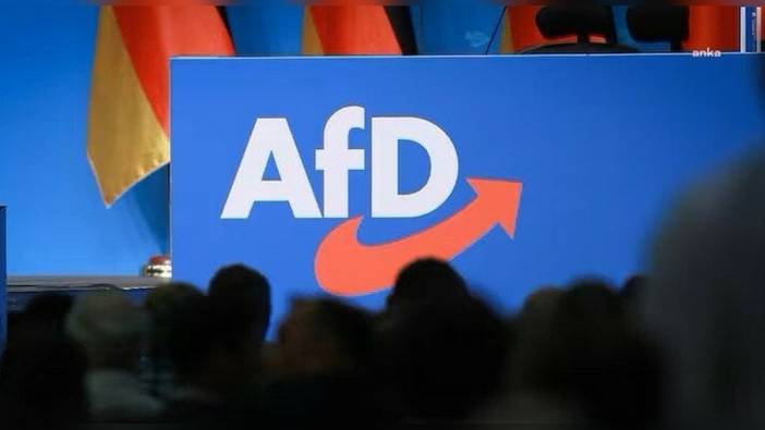 AfD, 'aşırı sağcı' damgasına 'demokrasi darbesi' dedi