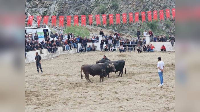 İspir'de boğa güreşlerinde kavga