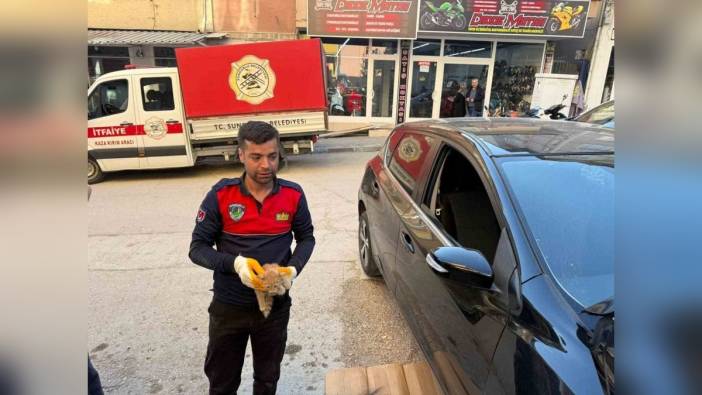 Sungurlu'da Araç Motoruna Giren Yavru Kedi Kurtarıldı