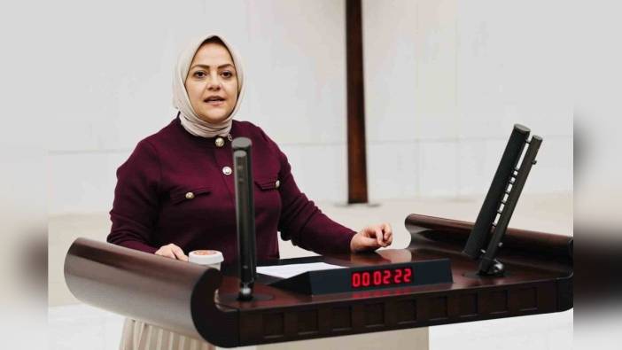 Sema Silkin Ün'den Özgür Özel'e Saldırıya Kınama