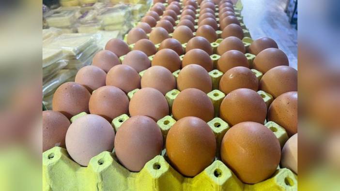 YÜSAD Başkanı Akman: Yumurta Sanayisi Türkiye'nin Geleceği İçin Çok Önemli