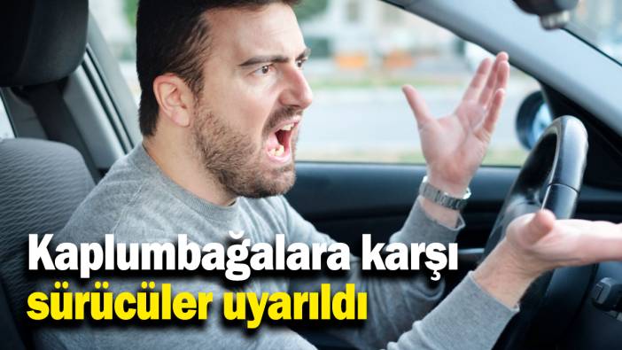 Kaplumbağalara karşı sürücüler uyarıldı