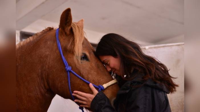 TÜBİTAK Projesi: At Eğitiminde 'Clicker' Yöntemi Devrim Yaratıyor