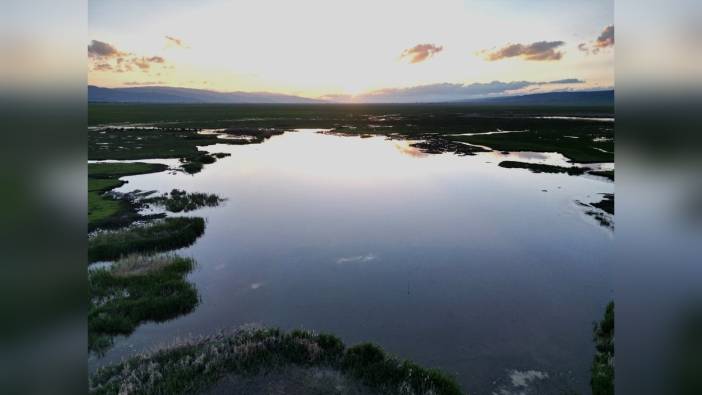 İron Sazlığı, 140 Kuş Türüne Ev Sahipliği Yapıyor
