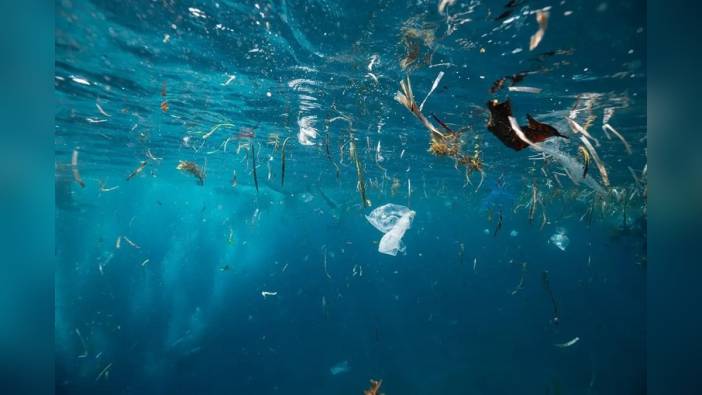 Okyanusların Derinliklerinde Mikroplastik Kirliliği: Mariana Çukuru'nda Rekor Seviye